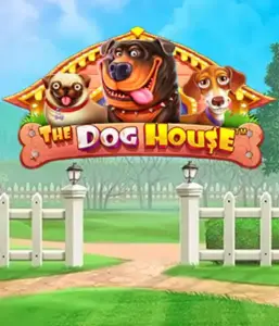 Pragmatic Play's The Dog House Slot, bringing you a fun-filled experience through charming canines. Engage in features such as multipliers, perfect for delivering joyful moments. Perfect for those who enjoy an amusing atmosphere and the opportunity to win big.